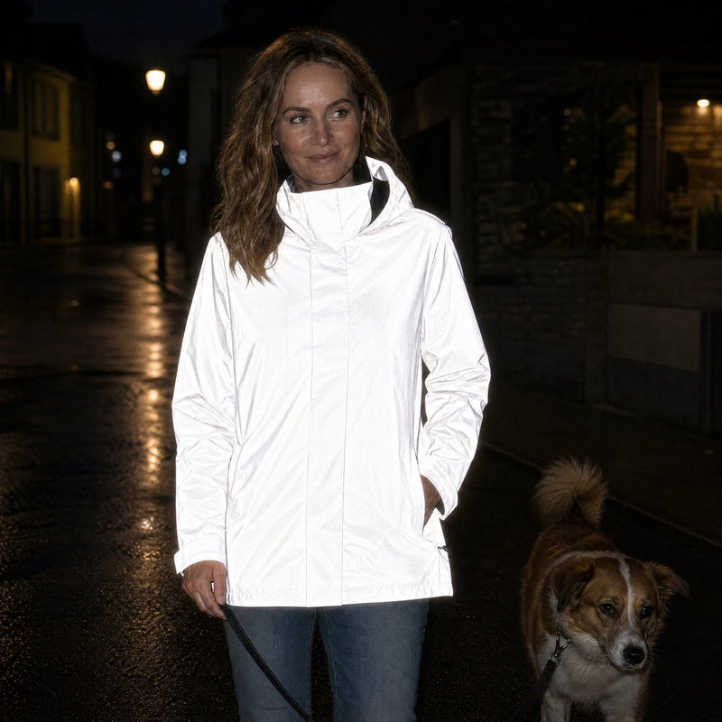 Le soir avec le chien